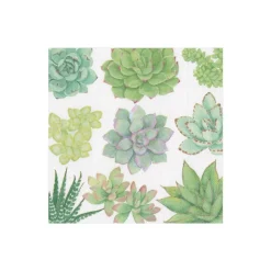 Succulents Paper Cocktail Napkins - 20 Per Package