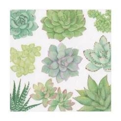 Succulents Paper Luncheon Napkins - 20 Per Package