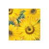 Sunflowers Boxed Paper Cocktail Napkins - 40 Per Box