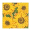 Sunflowers Paper Luncheon Napkins - 20 Per Package