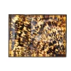 Tortoiseshell Lacquer Oversize Rect Tray - 30X22
