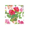Trailing Geranium Boxed Cocktail Napkins - 40 Per Box