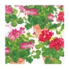 Trailing Geranium Luncheon Napkins - 20 Per Package