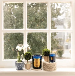 Trudon Petite Scented Candle - Maduraï