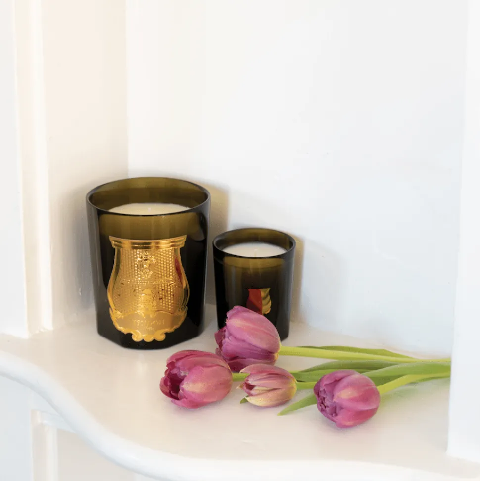 Trudon Petite Scented Candle - Cyrnos