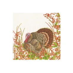 Turkey And Berries Boxed Cocktail Napkins - 40 Per Box