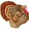 Turkey Paper Placemats - 12 Per Package
