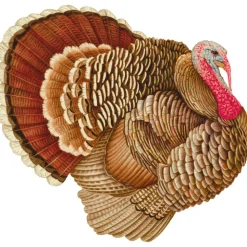 Turkey Paper Placemats - 12 Per Package