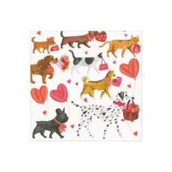 Valentine Parade Paper Cocktail Napkins - 20 Per Package