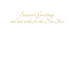 White Christmas Foil Classic Boxed Christmas Cards - includes 10 cards & envelopes