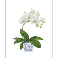 White Orchid Enclosure Cards & Envelopes - 4 Mini Cards & 4 Envelopes