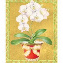 White Orchid In Red Pot Petite Boxed Christmas Cards - includes 15 cards & envelopes