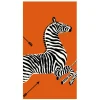 Zebras Orange Guest Towel Napkins - 15 Per Package